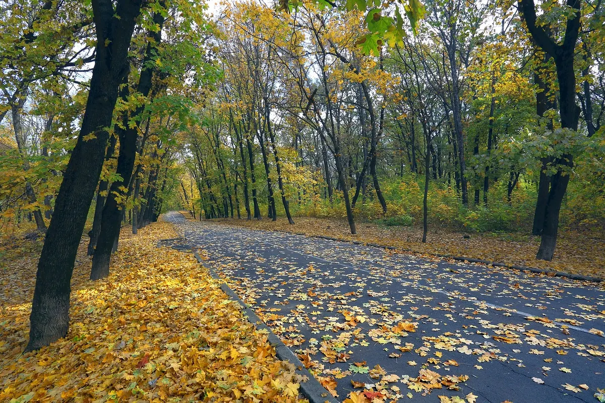 An Autumn Wisdom Reset: 8 Reflective Practices for Shorter Days